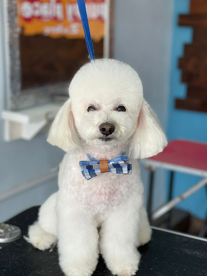 Negocio Veterinaria Y Estética Puppy Place Canina Y Felina