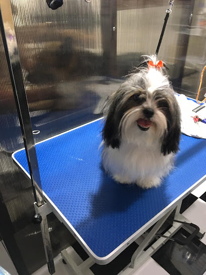 Veterinaria Y Spa Canino Alpha