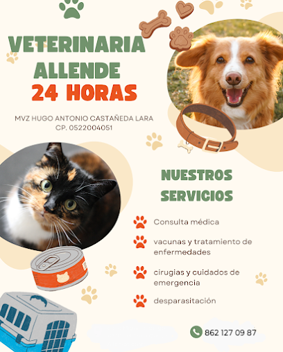 Negocio Veterinario 5 Manantiales Hugo A. Castañeda Lara