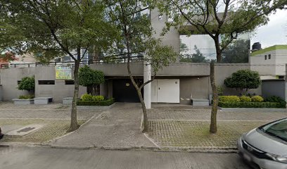 Veterinarios A Domicilio Y En LĂnea - Budy