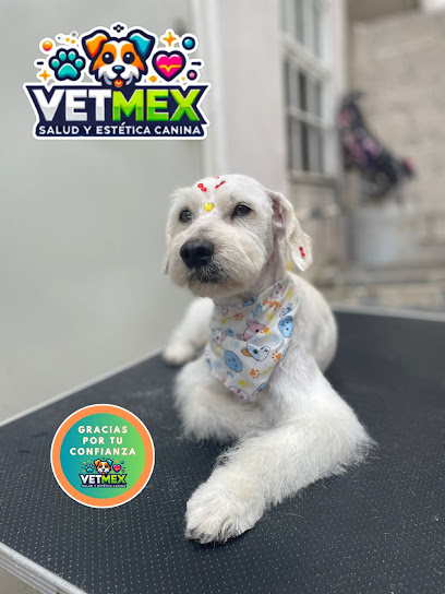 Negocio Vetmex Salud Y Estética Canina