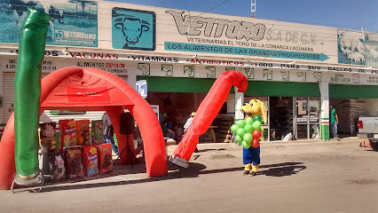 Vettoro