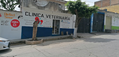 Vital Vet