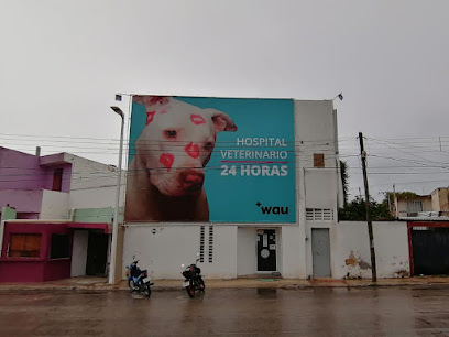 Negocio Wau Hospital Veterinario