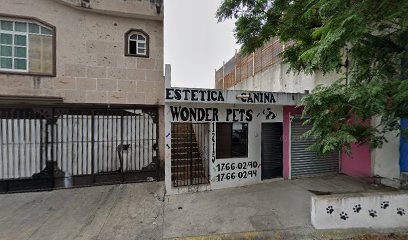 Negocio Wonder Pets