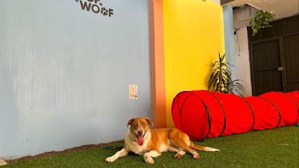 Negocio Woof Woof [Estetica Canina, Guardería, Tienda]