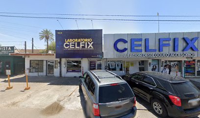 York Estetica Canina