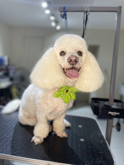 Negocio Yuri Guerrero Estilista Canino (Barber Dogs)