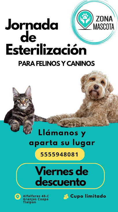 Zona Mascota