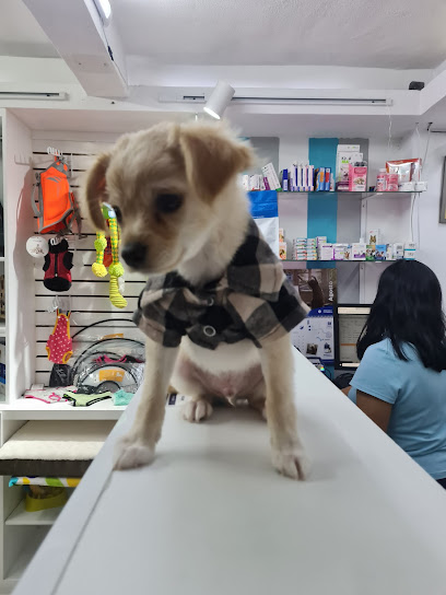 Zoona Pet Clínica Veterinaria &Amp; Estética