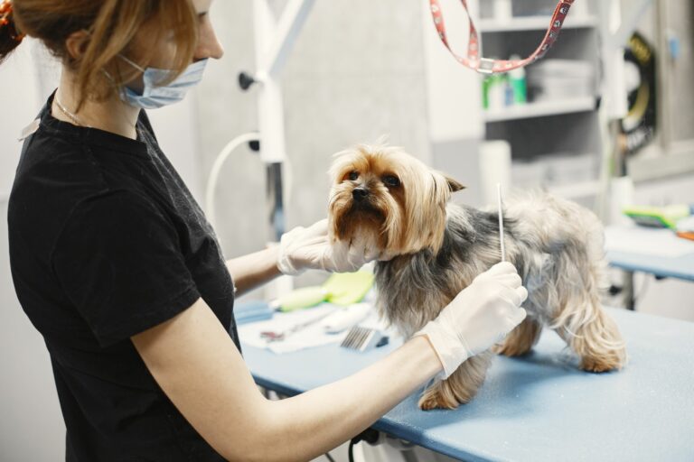 Protocolo para suspender el servicio de grooming por riesgo físico hacia el perro o el especialista