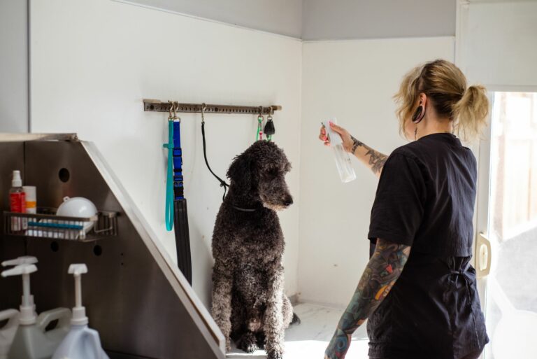 Uso de feromonas apaciguadoras en spray: cómo reducir el estrés canino en la zona de preparación